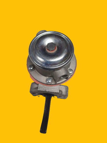 20240201_093449_1_-removebg-preview (1)