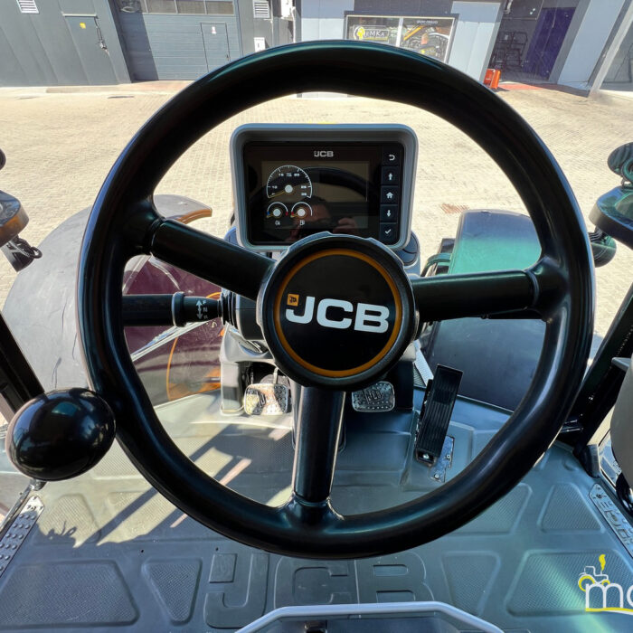 JCB Fastrac 4220(19)