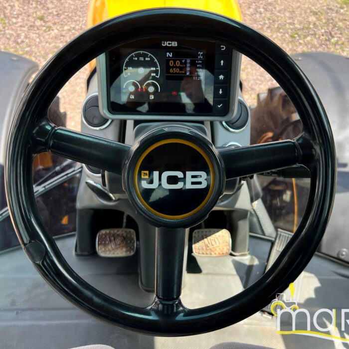 JCB fastrac 4190(14)
